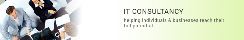 IT Consultancy